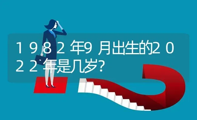 1982年9月出生的2022年是几岁？ | 动物养殖问答