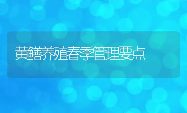 黄鳝养殖春季管理要点 | 动物养殖学堂