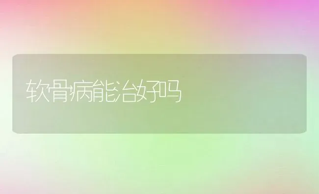 软骨病能治好吗 | 宠物百科知识