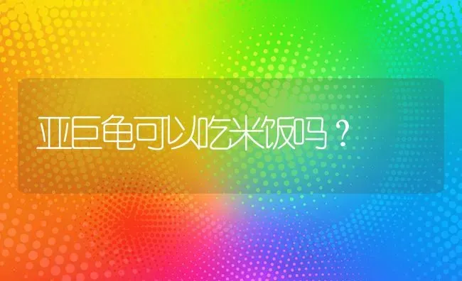 亚巨龟可以吃米饭吗？ | 动物养殖问答