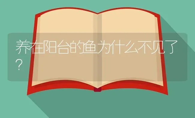 养在阳台的鱼为什么不见了？ | 鱼类宠物饲养