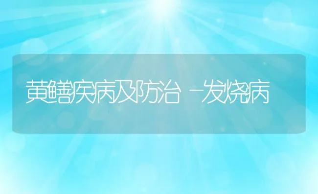 黄鳝疾病及防治―发烧病 | 动物养殖学堂