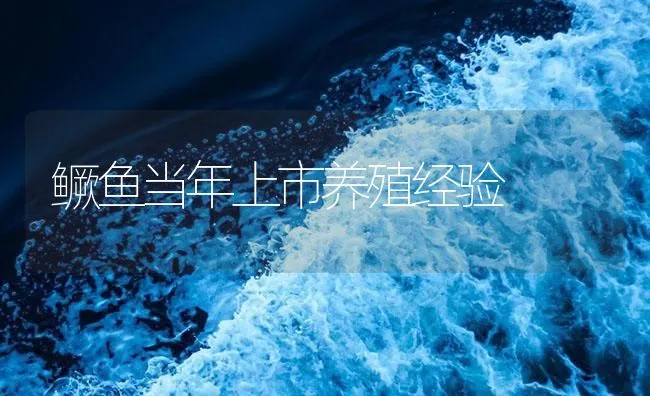 鳜鱼当年上市养殖经验 | 海水养殖技术