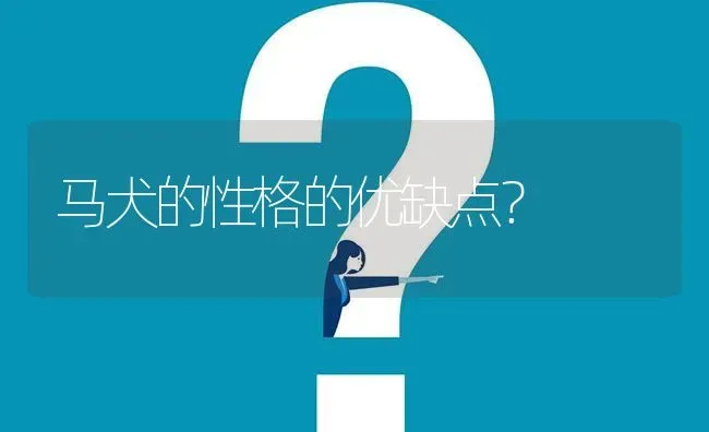 马犬的性格的优缺点？ | 动物养殖问答