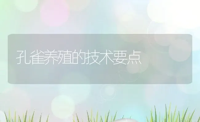 孔雀养殖的技术要点 | 特种养殖技术