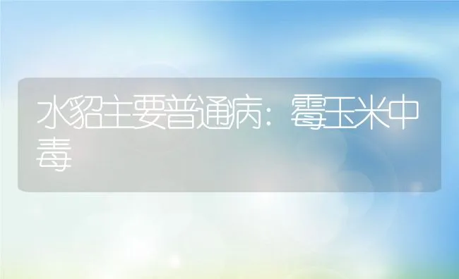 水貂主要普通病：霉玉米中毒 | 水产养殖知识