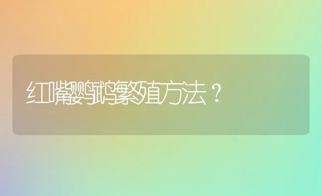 红嘴鹦鹉繁殖方法？ | 动物养殖问答