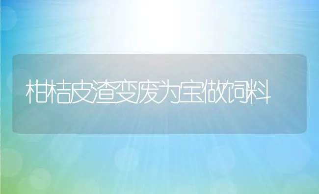 柑桔皮渣变废为宝做饲料 | 动物养殖学堂