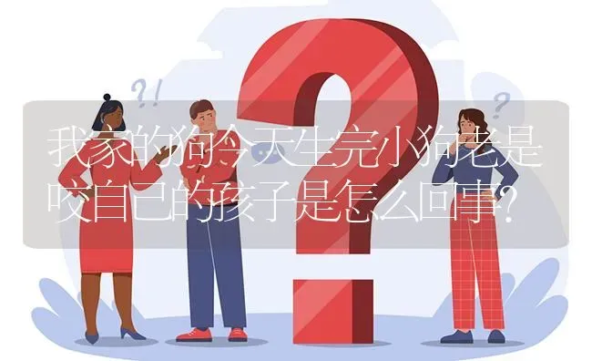 我家的狗今天生完小狗老是咬自己的孩子是怎么回事？ | 动物养殖问答