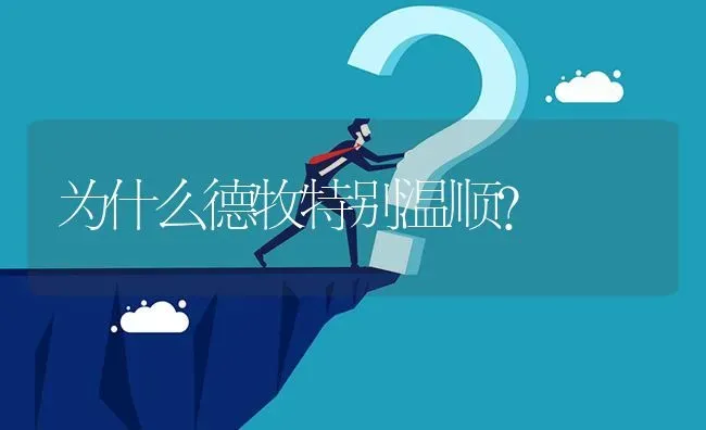 为什么德牧特别温顺？ | 动物养殖问答