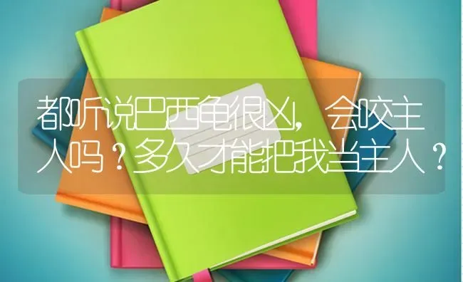 都听说巴西龟很凶，会咬主人吗？多久才能把我当主人？ | 动物养殖问答