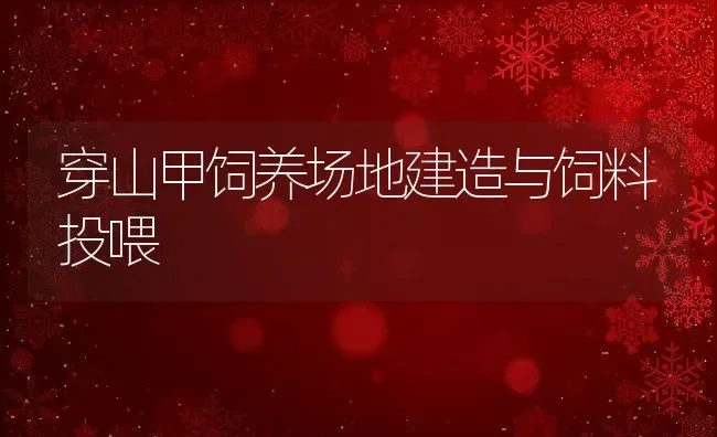 穿山甲饲养场地建造与饲料投喂 | 动物养殖百科