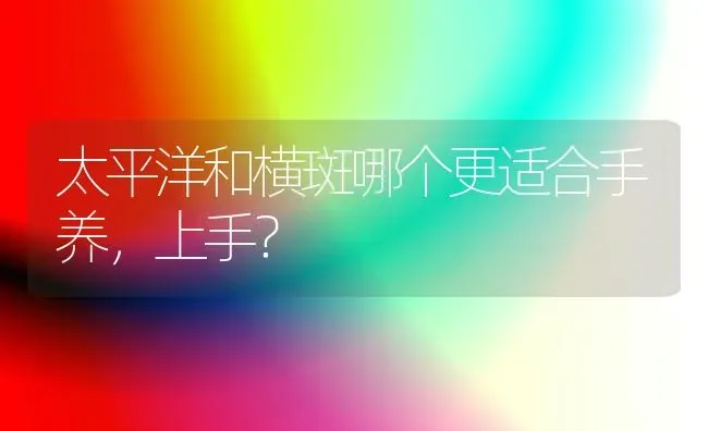 太平洋和横斑哪个更适合手养，上手？ | 动物养殖问答