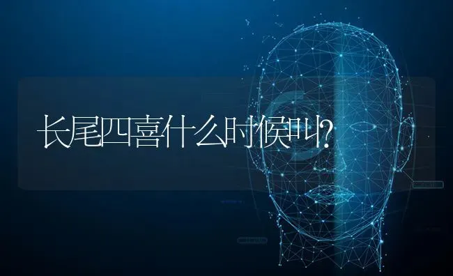 长尾四喜什么时候叫？ | 动物养殖问答