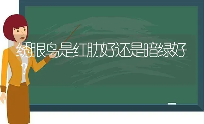 绣眼鸟是红肋好还是暗绿好？ | 动物养殖问答