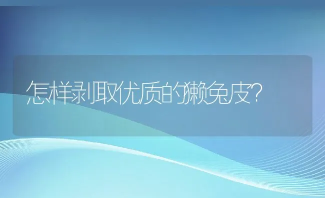 怎样剥取优质的獭兔皮？ | 水产养殖知识