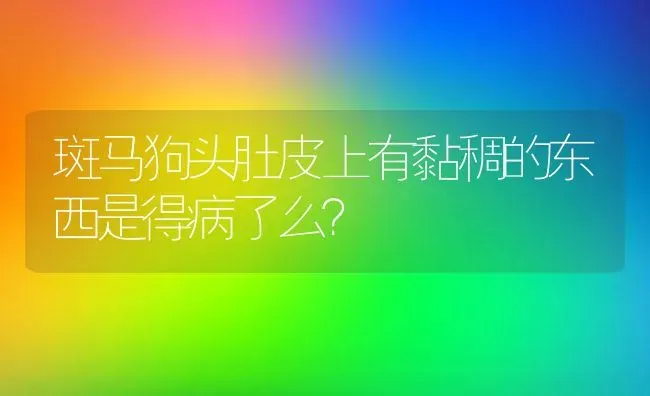 斑马狗头肚皮上有黏稠的东西是得病了么？ | 鱼类宠物饲养