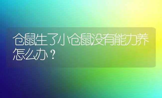 仓鼠生了小仓鼠没有能力养怎么办？ | 动物养殖问答