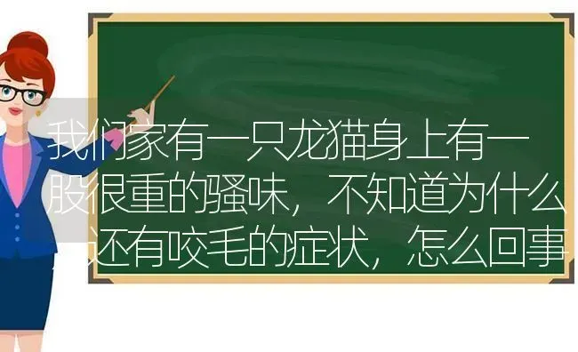 我们家有一只龙猫身上有一股很重的骚味，不知道为什么，还有咬毛的症状，怎么回事，家里其他龙猫也没有那种？ | 动物养殖问答