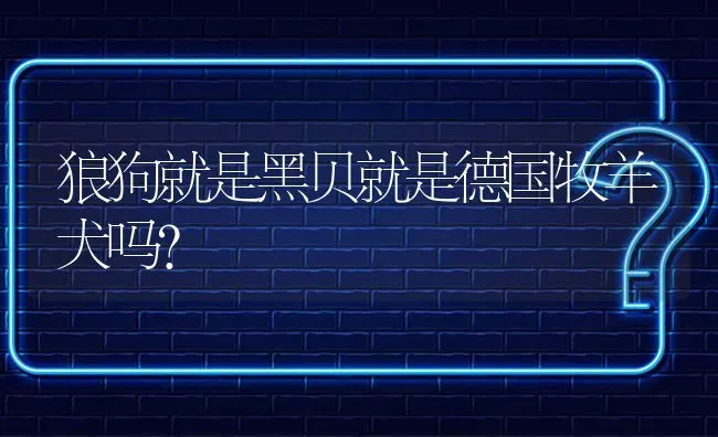 狼狗就是黑贝就是德国牧羊犬吗？ | 动物养殖问答