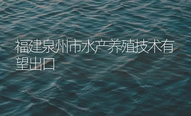 福建泉州市水产养殖技术有望出口 | 海水养殖技术