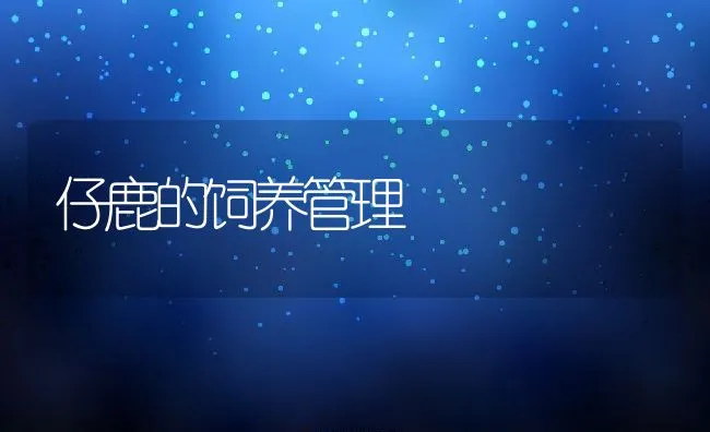 仔鹿的饲养管理 | 动物养殖学堂