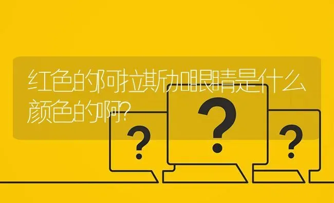 红色的阿拉斯加眼睛是什么颜色的啊？ | 动物养殖问答