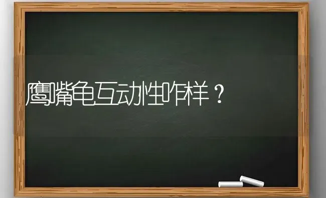 鹰嘴龟互动性咋样？ | 动物养殖问答