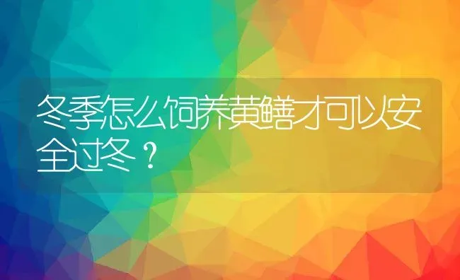 冬季怎么饲养黄鳝才可以安全过冬？ | 动物养殖百科