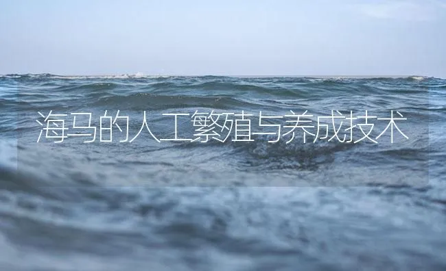 海马的人工繁殖与养成技术 | 海水养殖技术