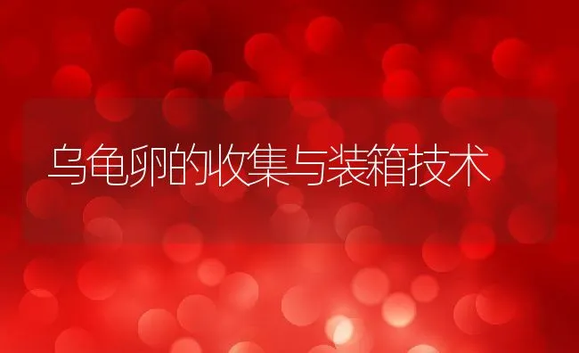 怀头鲶又成鲶鱼的杂交种和生长习性及鲶鱼实用养殖技术 | 海水养殖技术