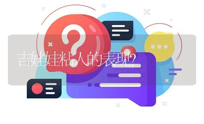 吉娃娃粘人的表现？ | 动物养殖问答