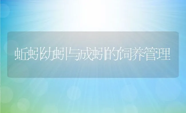 蚯蚓幼蚓与成蚓的饲养管理 | 动物养殖饲料