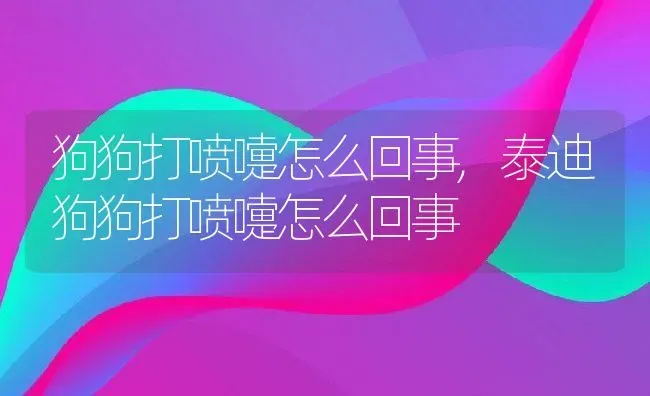 狗狗打喷嚏怎么回事,泰迪狗狗打喷嚏怎么回事 | 宠物百科知识