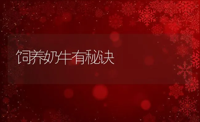 饲料四诱因易致鸡腹泻 | 动物养殖学堂