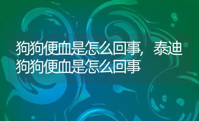 狗狗便血是怎么回事,泰迪狗狗便血是怎么回事 | 宠物百科知识