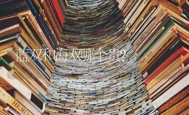 蓝双和海双哪个贵？ | 动物养殖问答