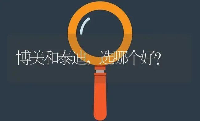 博美和泰迪，选哪个好？ | 动物养殖问答