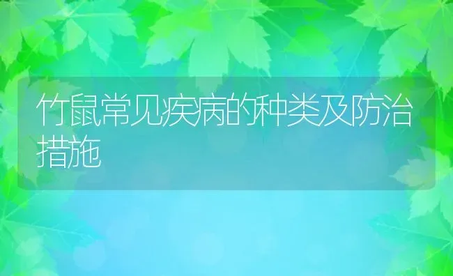 竹鼠常见疾病的种类及防治措施 | 动物养殖教程