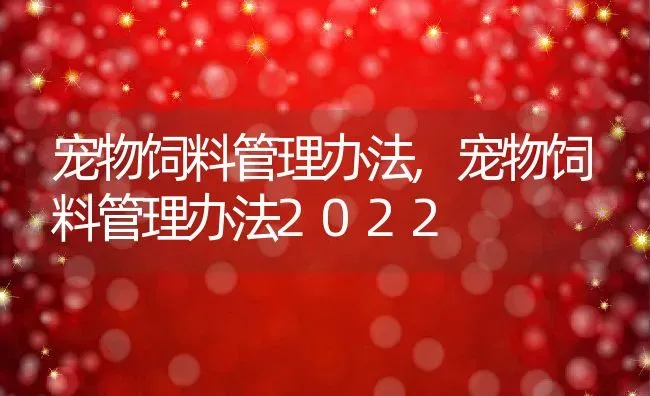 宠物饲料管理办法,宠物饲料管理办法2022 | 宠物百科知识