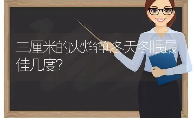 三厘米的火焰龟冬天冬眠最佳几度？ | 动物养殖问答