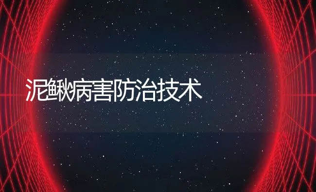 泥鳅病害防治技术 | 动物养殖学堂