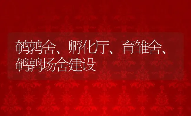 鹌鹑舍、孵化厅、育雏舍、鹌鹑场舍建设 | 动物养殖学堂