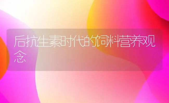 后抗生素时代的饲料营养观念 | 动物养殖学堂