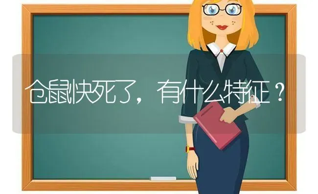 仓鼠快死了，有什么特征？ | 动物养殖问答