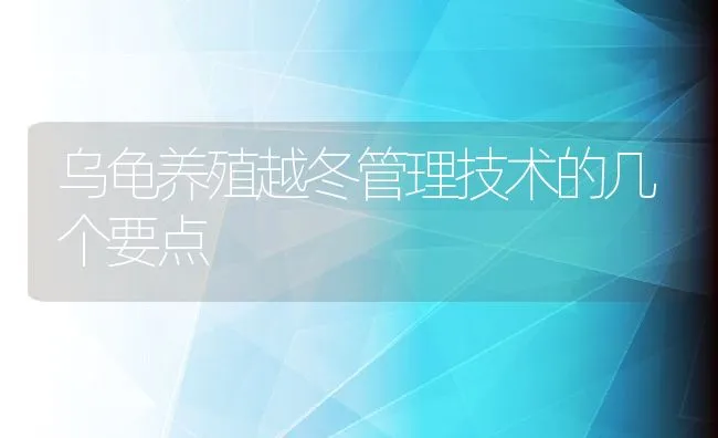 乌龟养殖越冬管理技术的几个要点 | 水产养殖知识