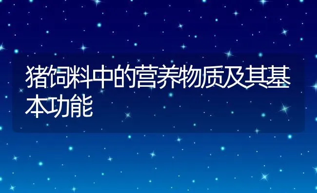 猪饲料中的营养物质及其基本功能 | 动物养殖饲料