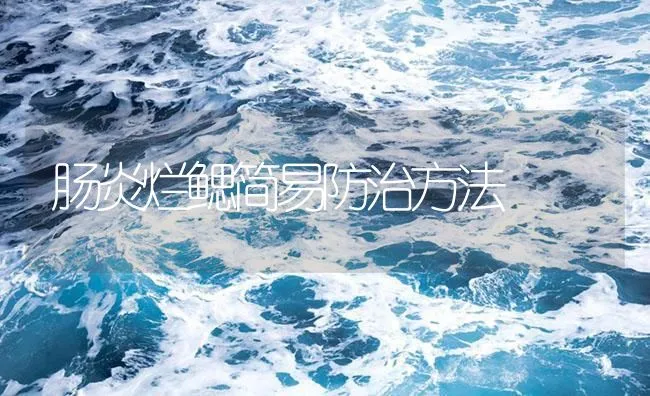 肠炎烂鳃简易防治方法 | 海水养殖技术