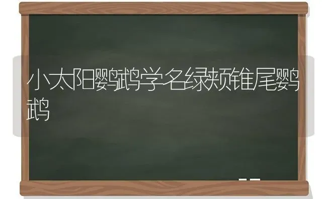 上海寄猫咪过深圳要多久？ | 动物养殖问答