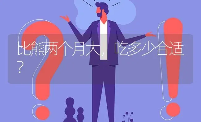 比熊两个月大，吃多少合适？ | 动物养殖问答